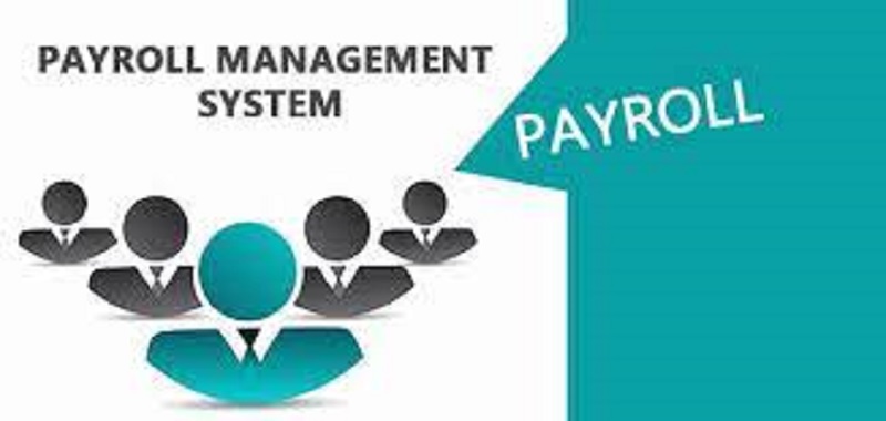 payroll management companies
