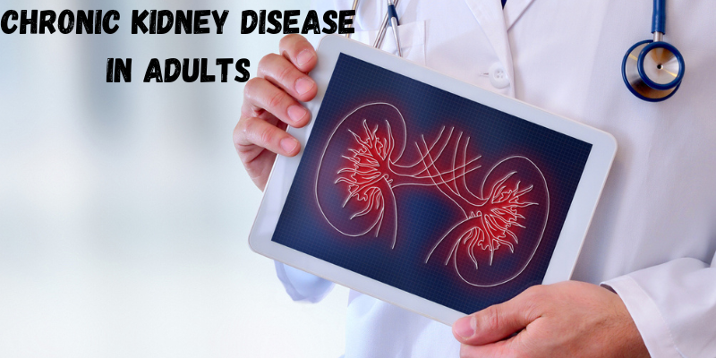 How Can a Nephrologist Help Manage Chronic Kidney Disease in Adults?