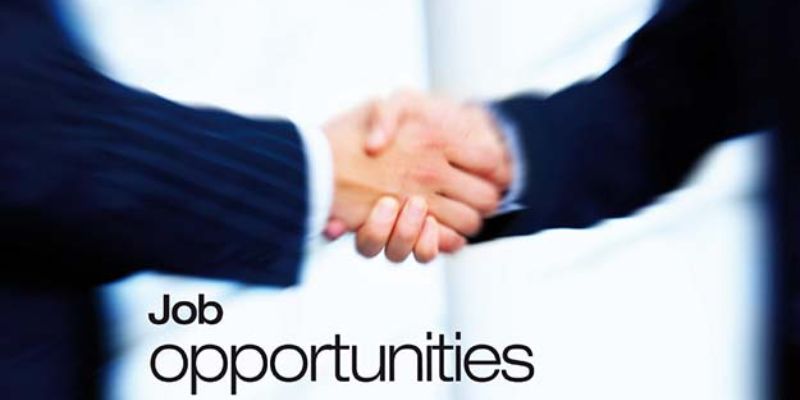 How to Secure the Best Job Placement Opportunities